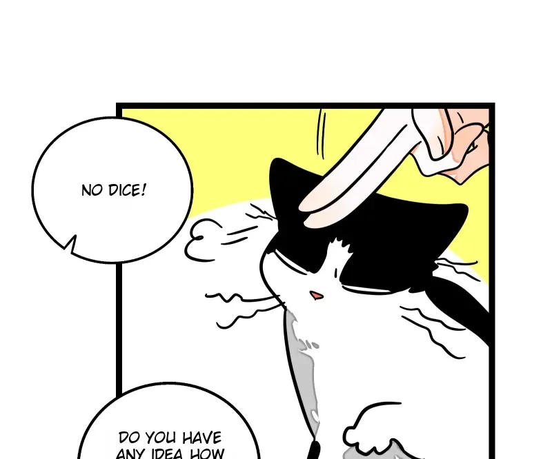 Monday to Weekend Chapter 56 page 77