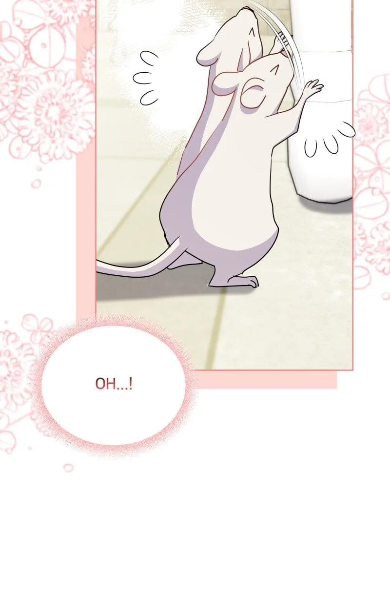 More Than You Know Chapter 63 page 46