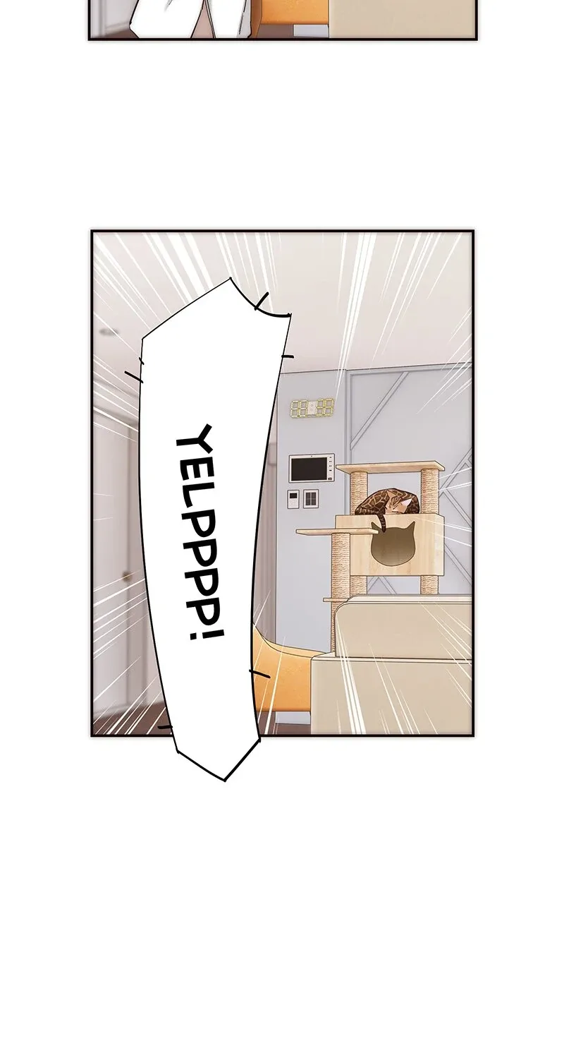 My Benefactor Is Not a Scholar Chapter 11 page 15