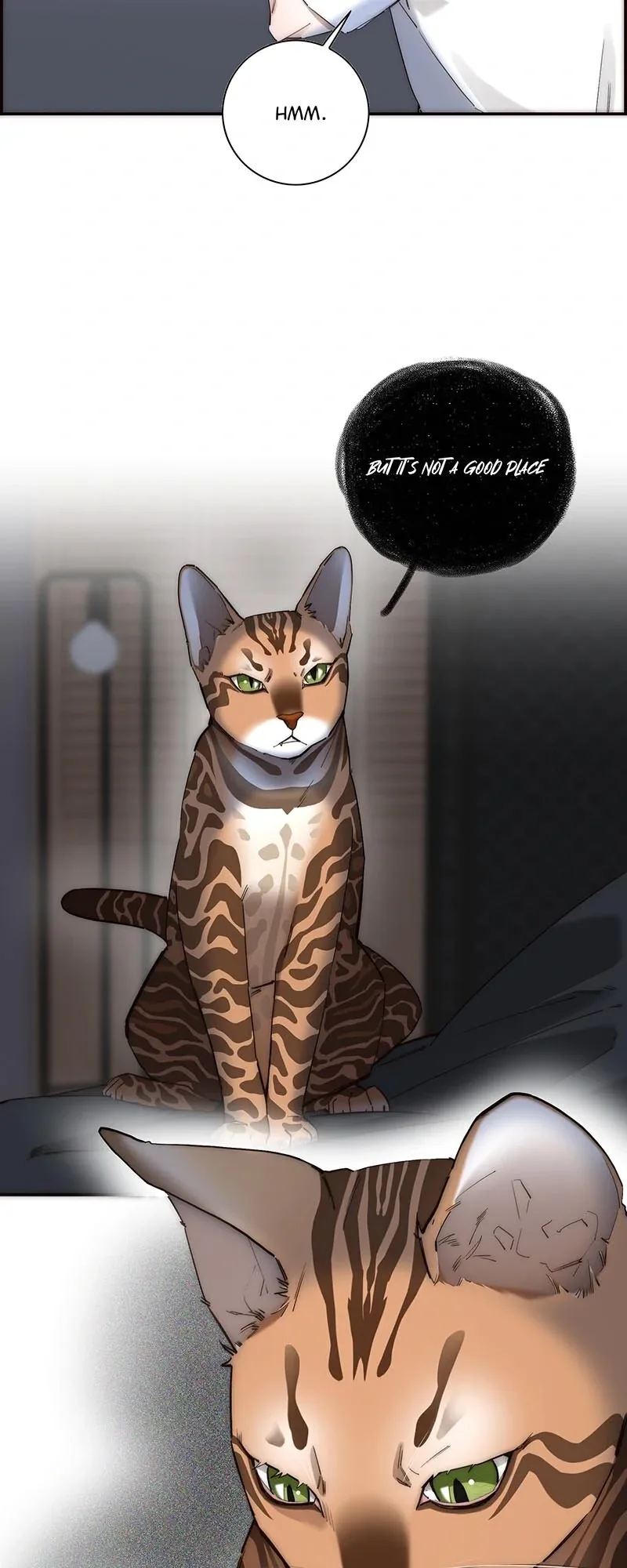 My Benefactor Is Not a Scholar Chapter 20 page 4