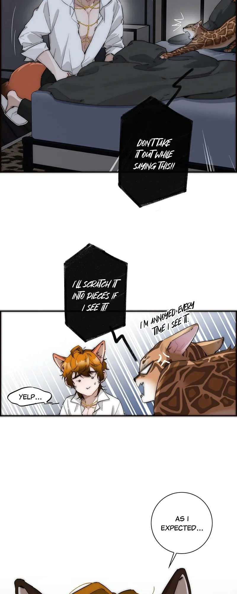 My Benefactor Is Not a Scholar Chapter 31 page 17