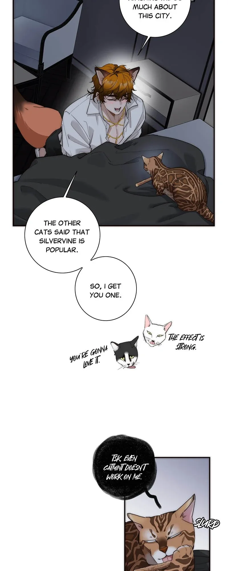 My Benefactor Is Not a Scholar Chapter 31 page 24