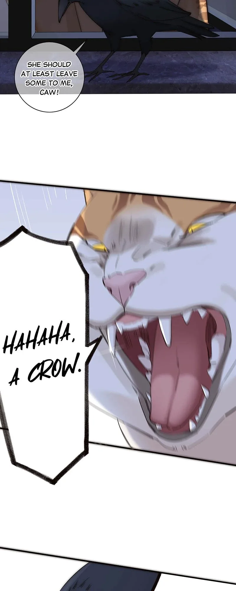 My Benefactor Is Not a Scholar Chapter 37 page 27
