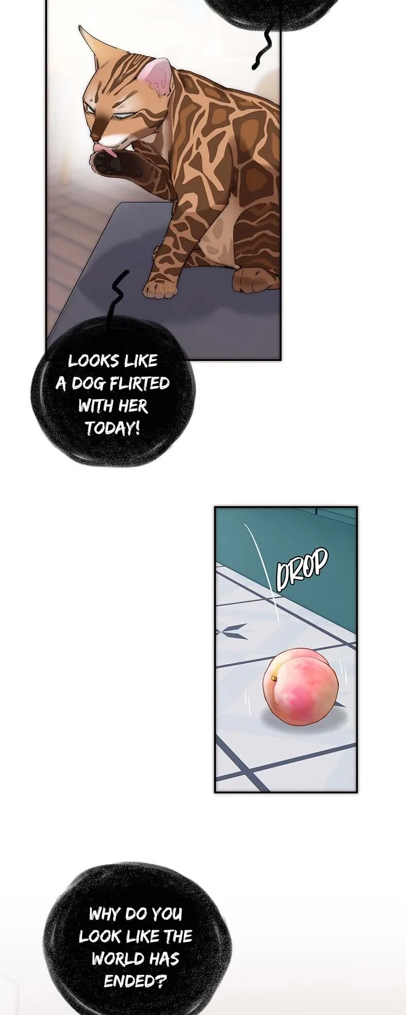 My Benefactor Is Not a Scholar Chapter 48 page 6