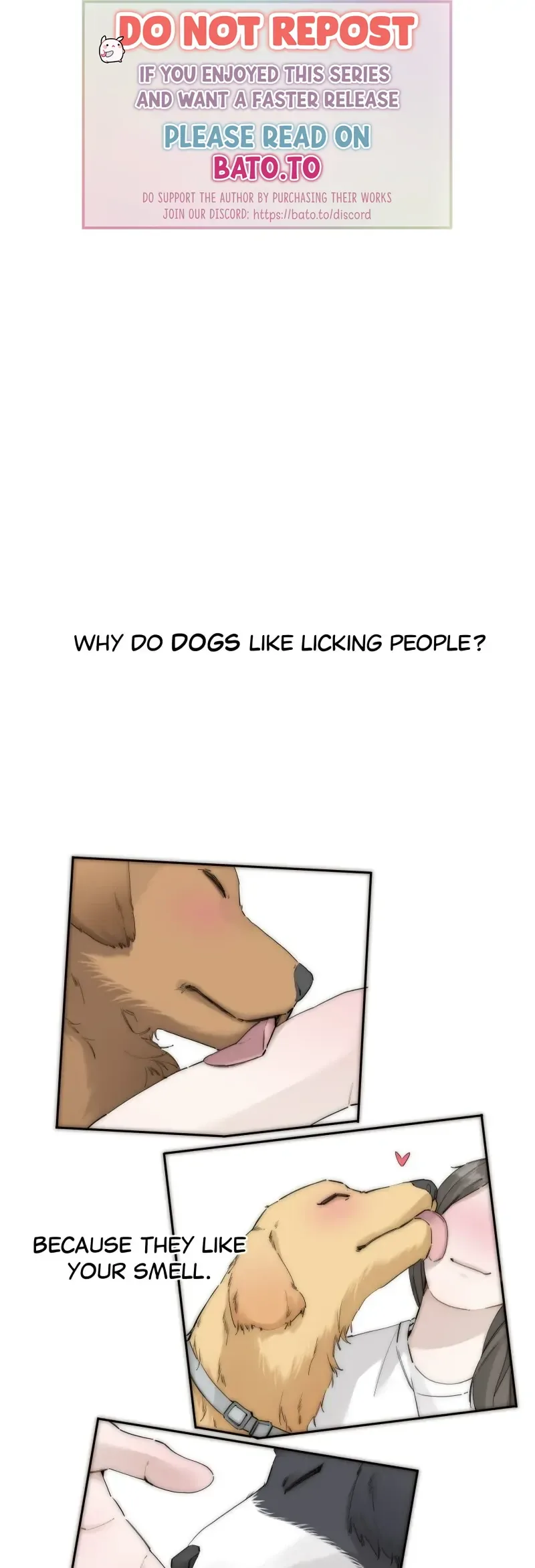 My Benefactor Is Not a Scholar Chapter 49 page 2