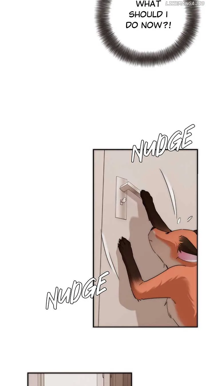 My Benefactor Is Not a Scholar Chapter 65 page 4