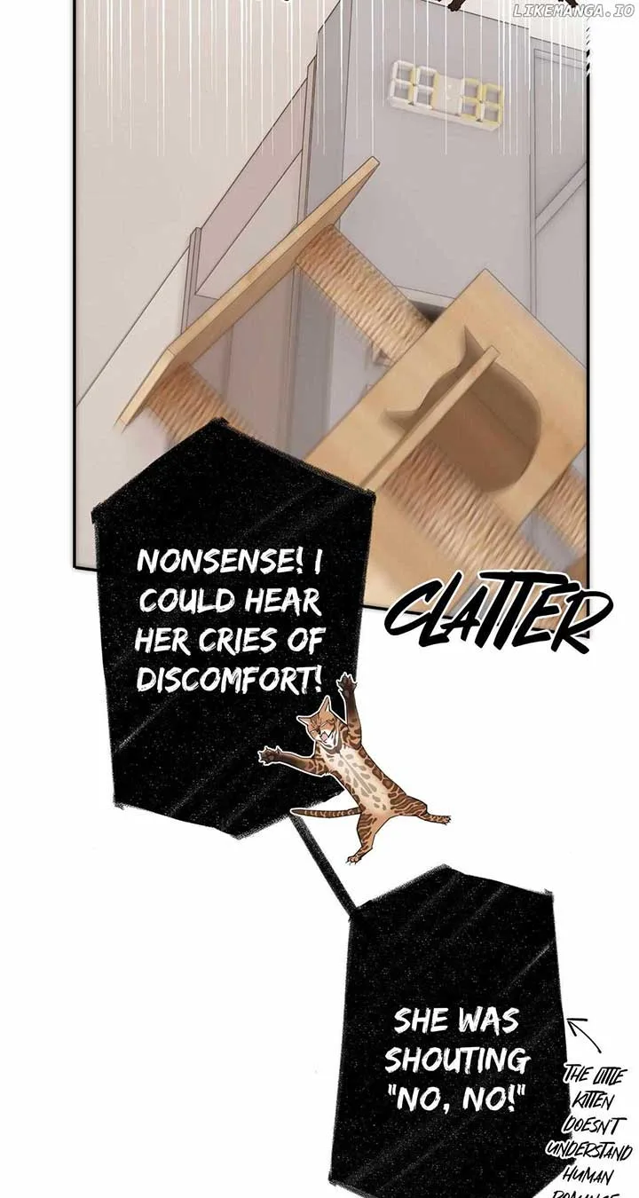 My Benefactor Is Not a Scholar Chapter 65 page 9