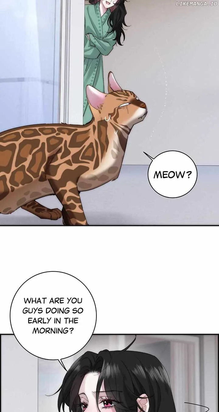 My Benefactor Is Not a Scholar Chapter 65 page 20