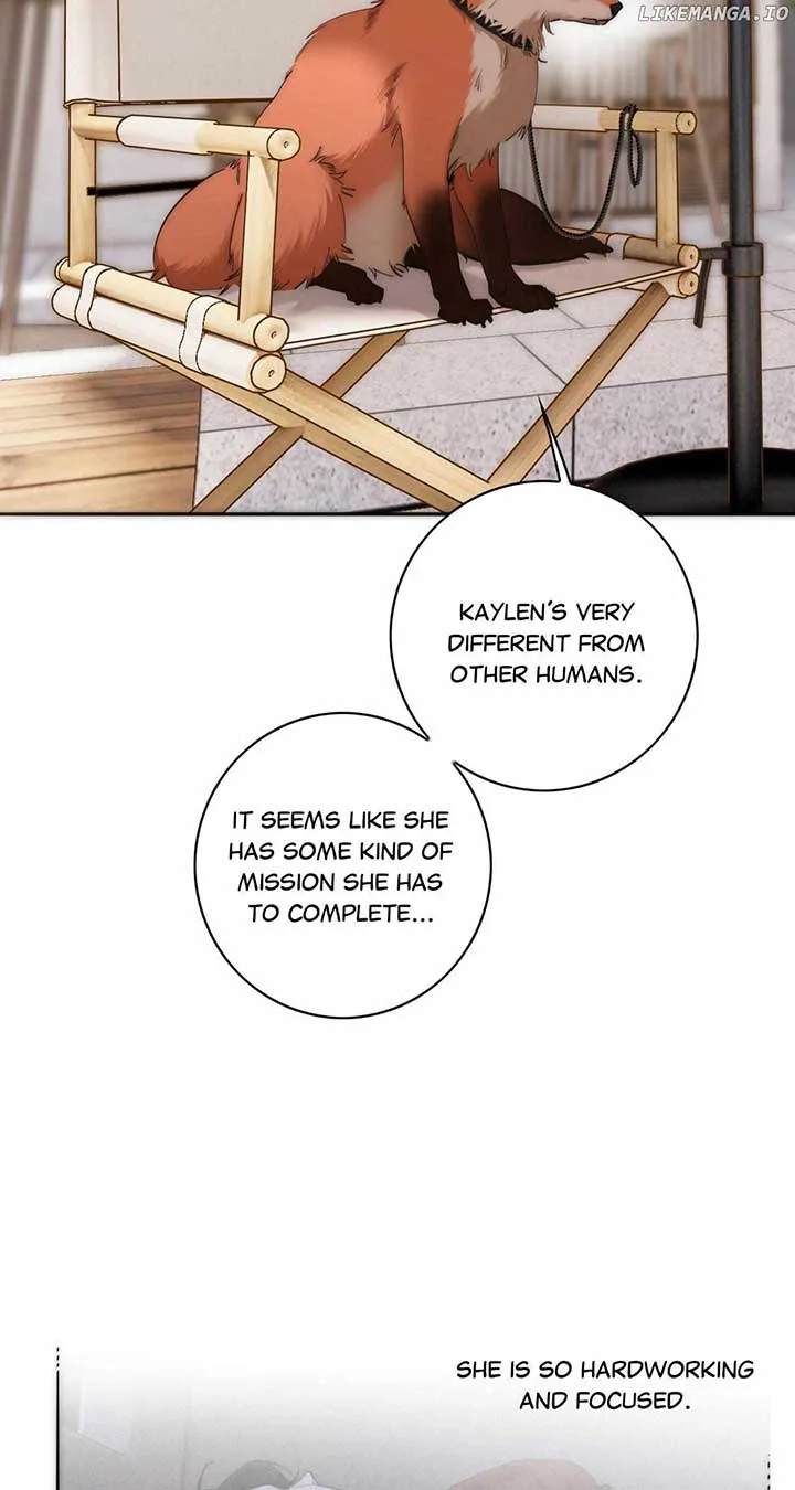 My Benefactor Is Not a Scholar Chapter 65 page 37