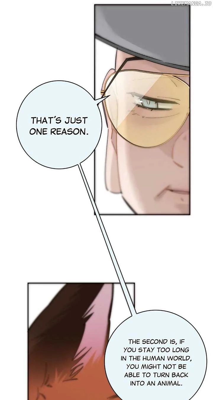 My Benefactor Is Not a Scholar Chapter 65 page 48