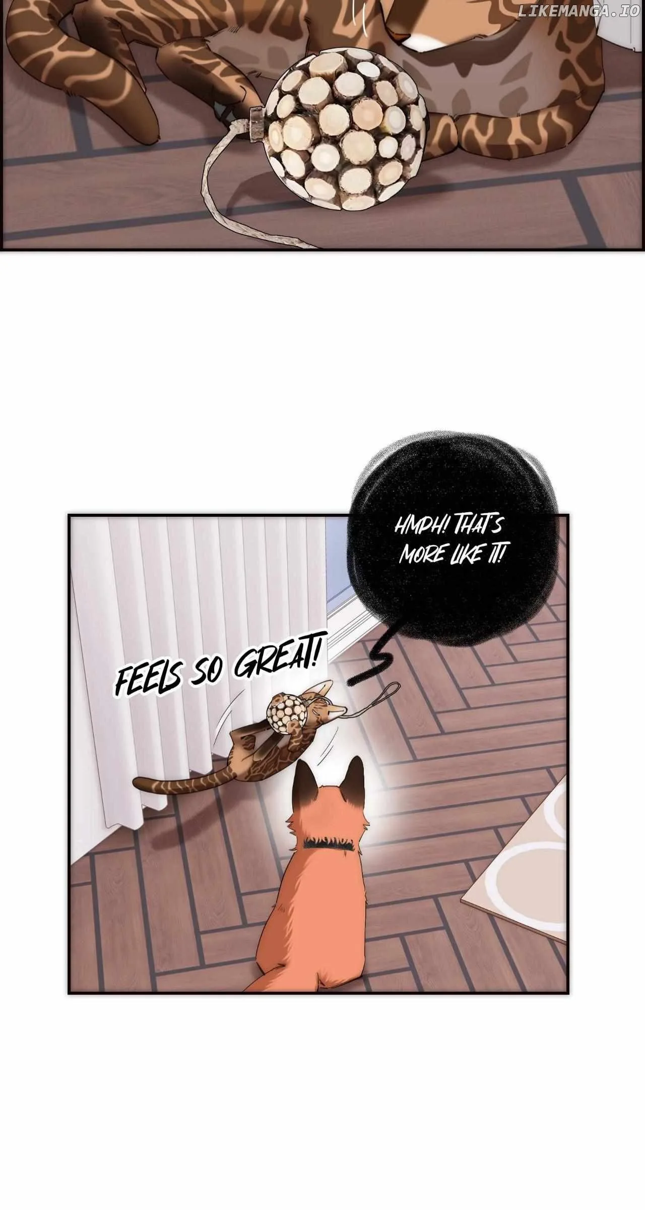 My Benefactor Is Not a Scholar Chapter 66 page 35