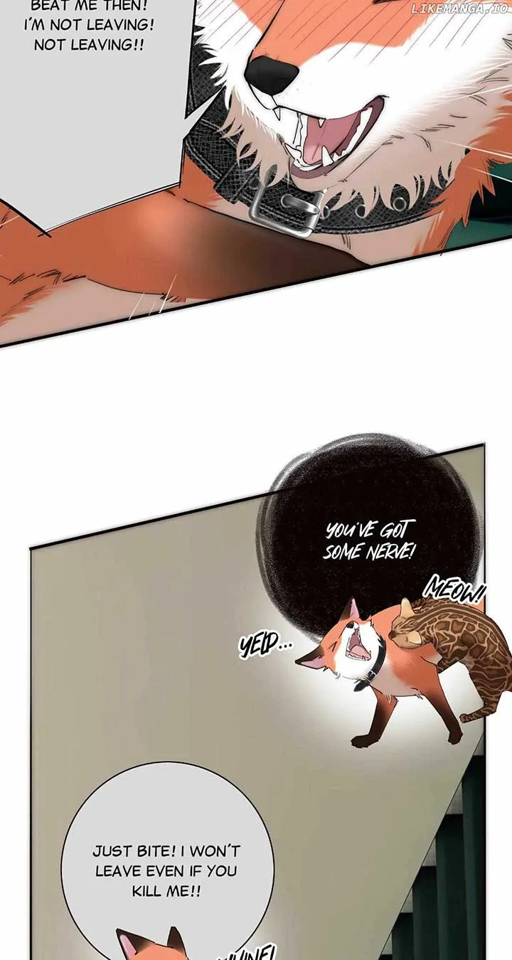 My Benefactor Is Not a Scholar Chapter 67 page 26