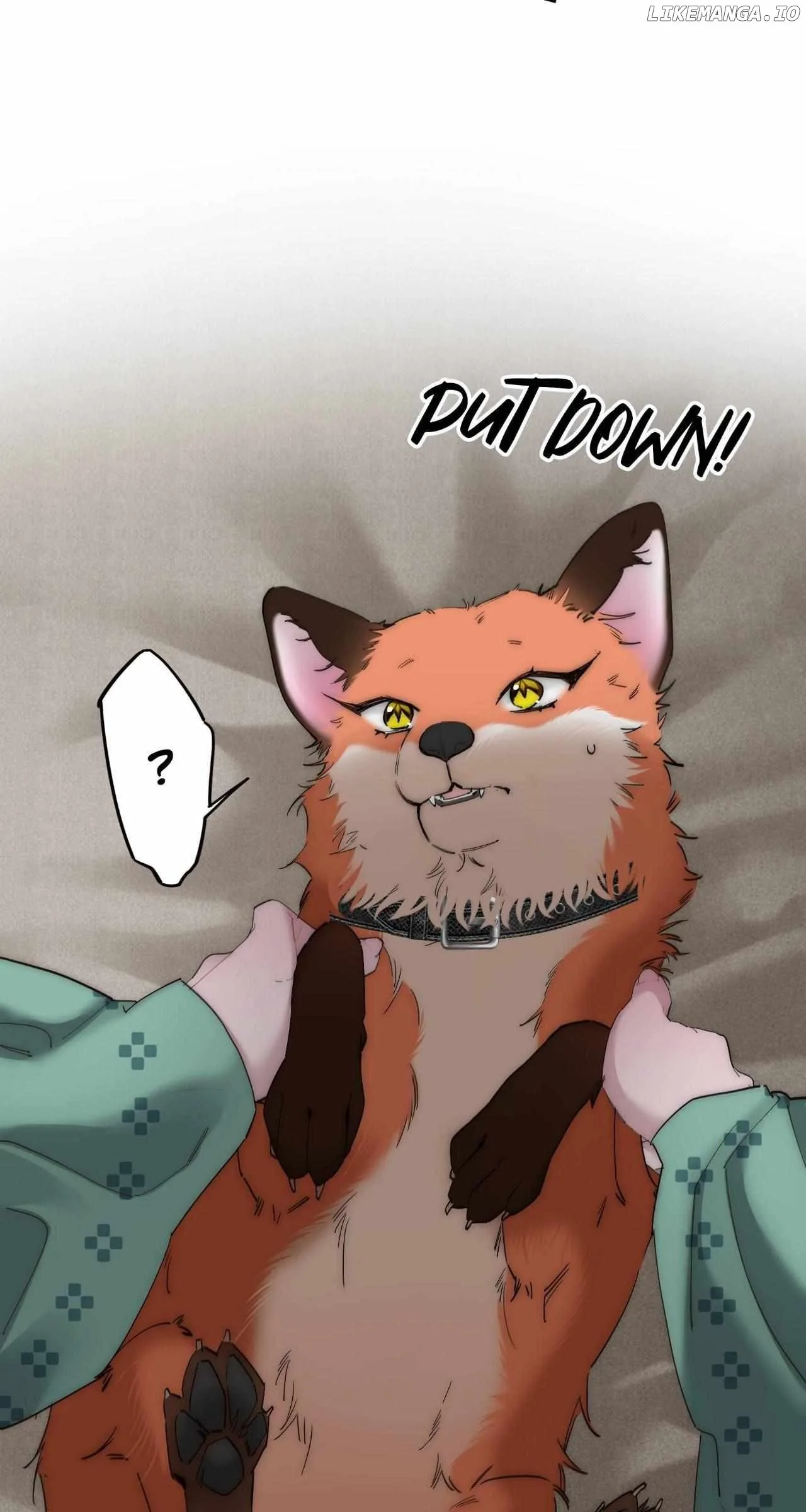 My Benefactor Is Not a Scholar Chapter 66 page 53