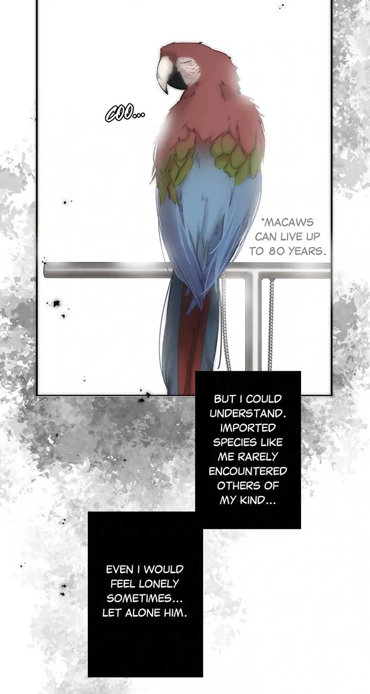 My Benefactor Is Not a Scholar Chapter 69 page 10