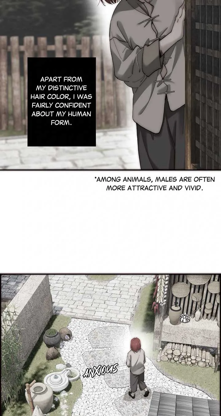 My Benefactor Is Not a Scholar Chapter 69 page 17