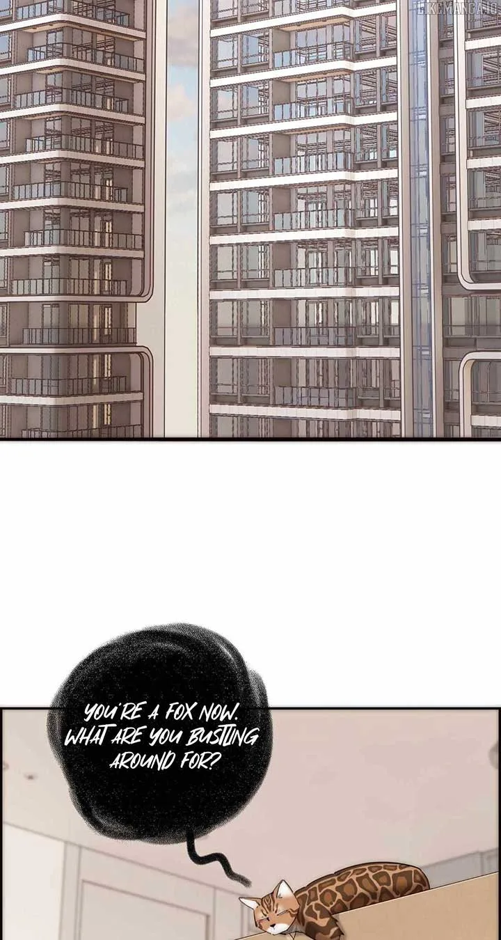 My Benefactor Is Not a Scholar Chapter 70 page 17