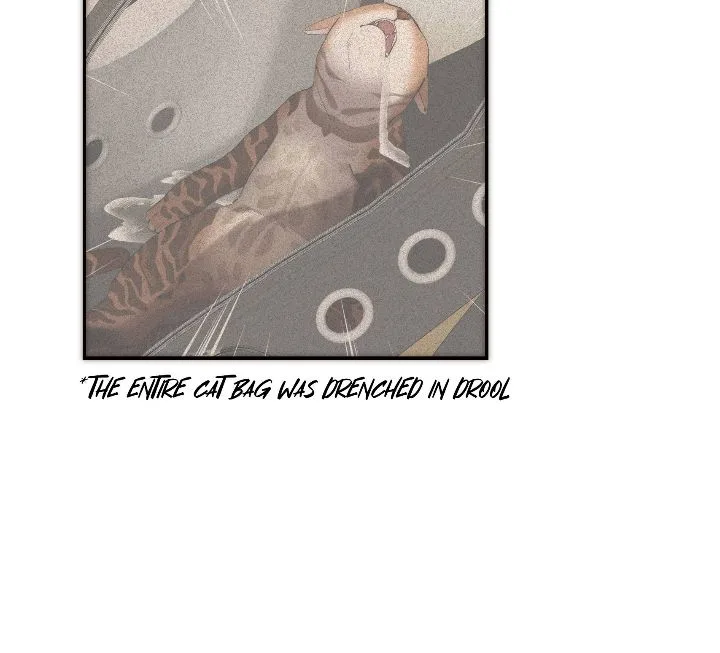 My Benefactor Is Not a Scholar Chapter 71 page 29