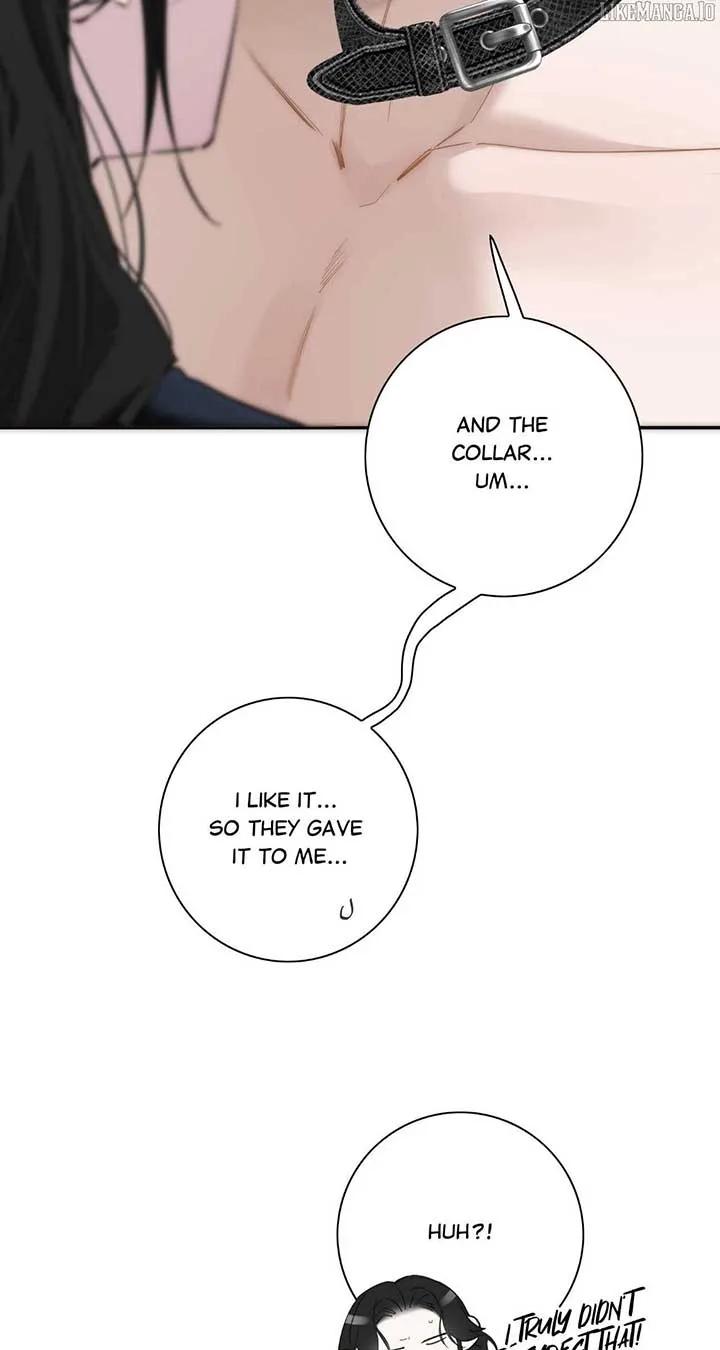 My Benefactor Is Not a Scholar Chapter 70 page 49