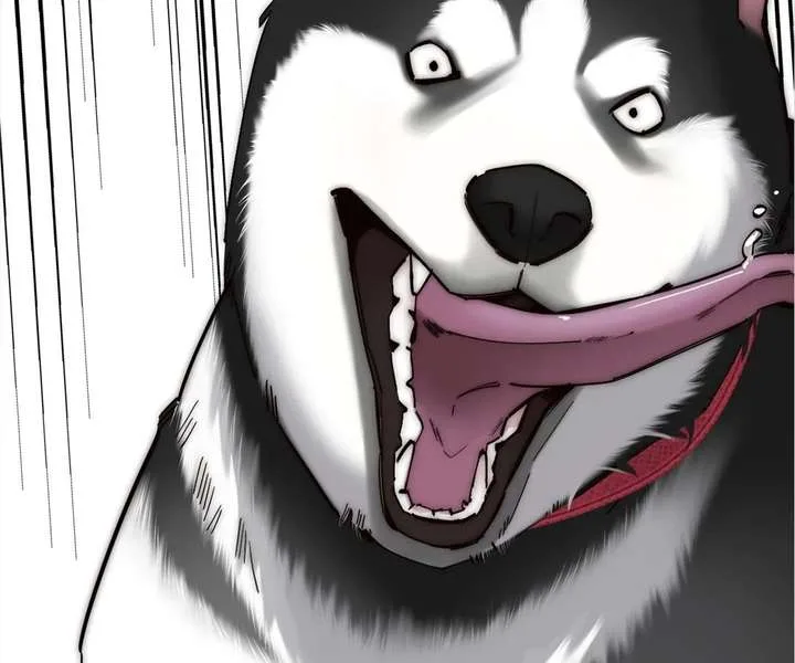 My Benefactor Is Not a Scholar Chapter 93 page 13