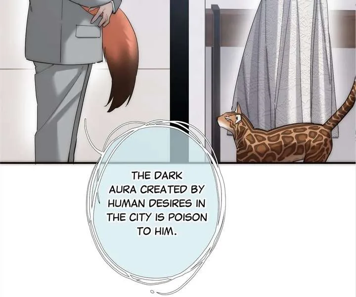 My Benefactor Is Not a Scholar Chapter 94 page 73