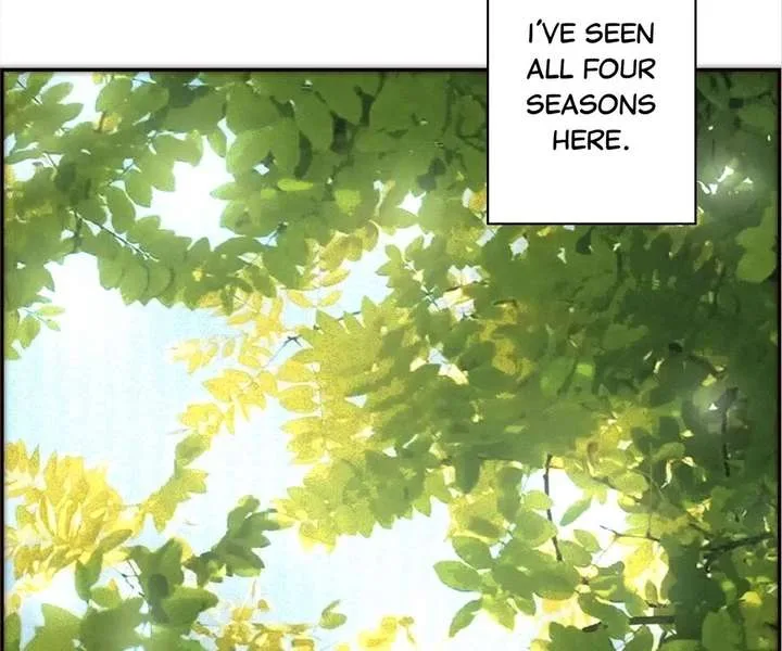 My Benefactor Is Not a Scholar Chapter 94 page 181