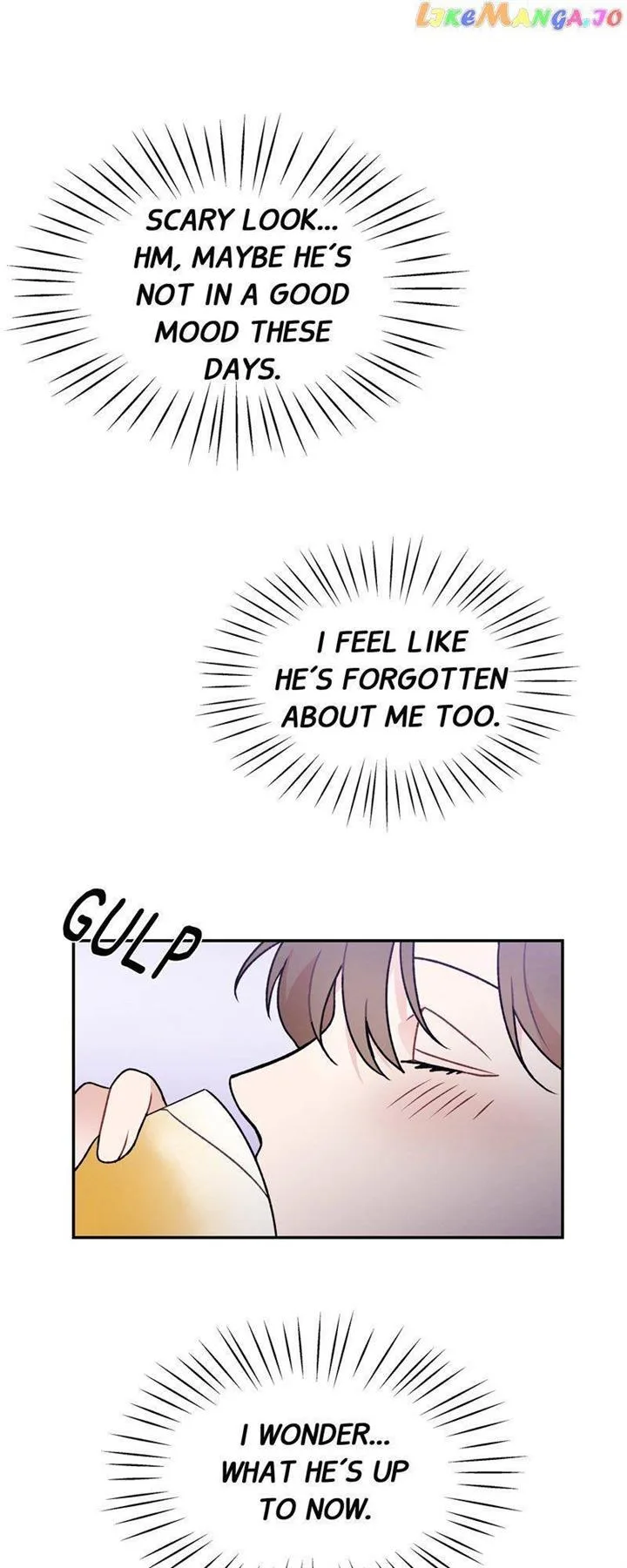 My Bosss’s Perfect Wedding Chapter 10 page 25