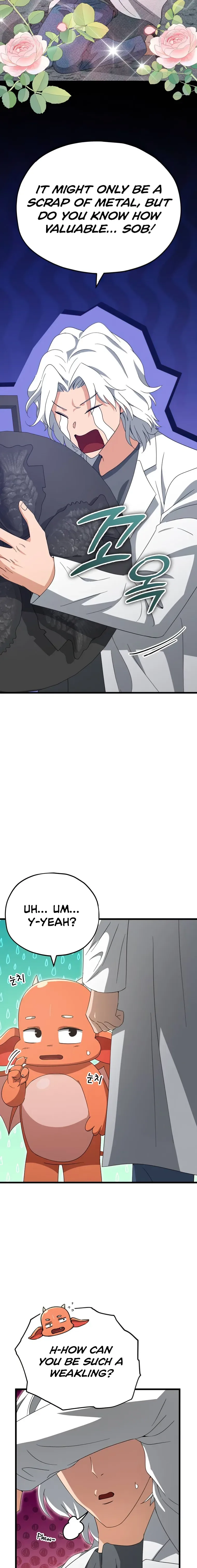My Dad Is Too Strong Chapter 135 page 17