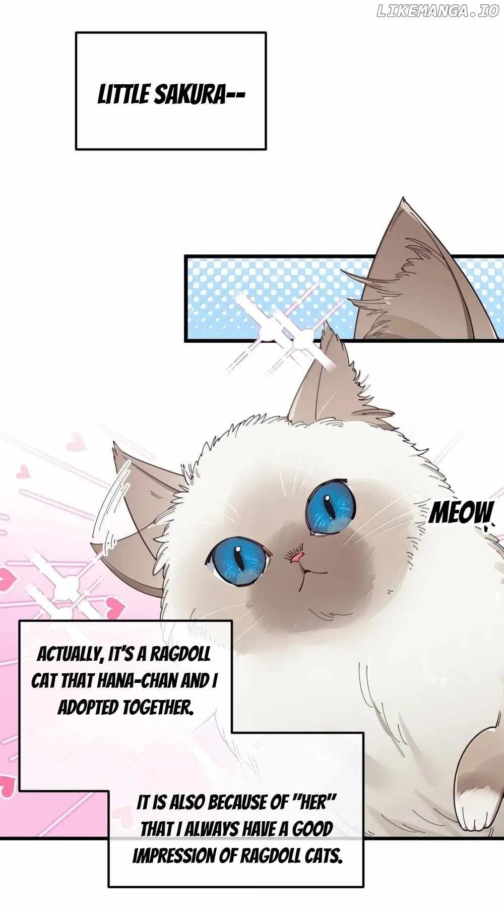 My Fake Girlfriends Are Using Me as a Shield Chapter 137 page 18