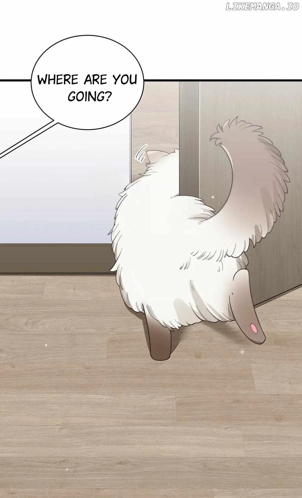 My Fake Girlfriends Are Using Me as a Shield Chapter 137 page 23