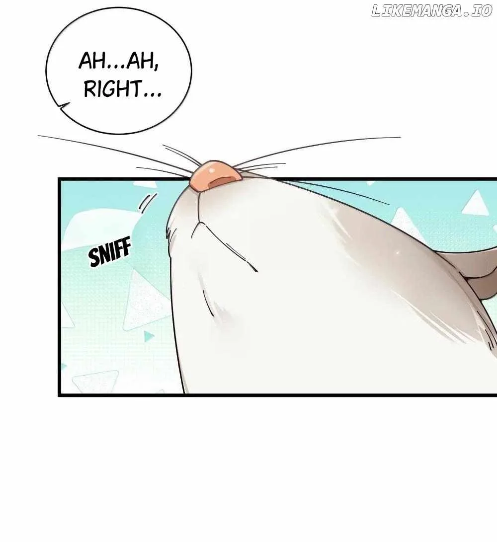 My Fake Girlfriends Are Using Me as a Shield Chapter 150 page 10
