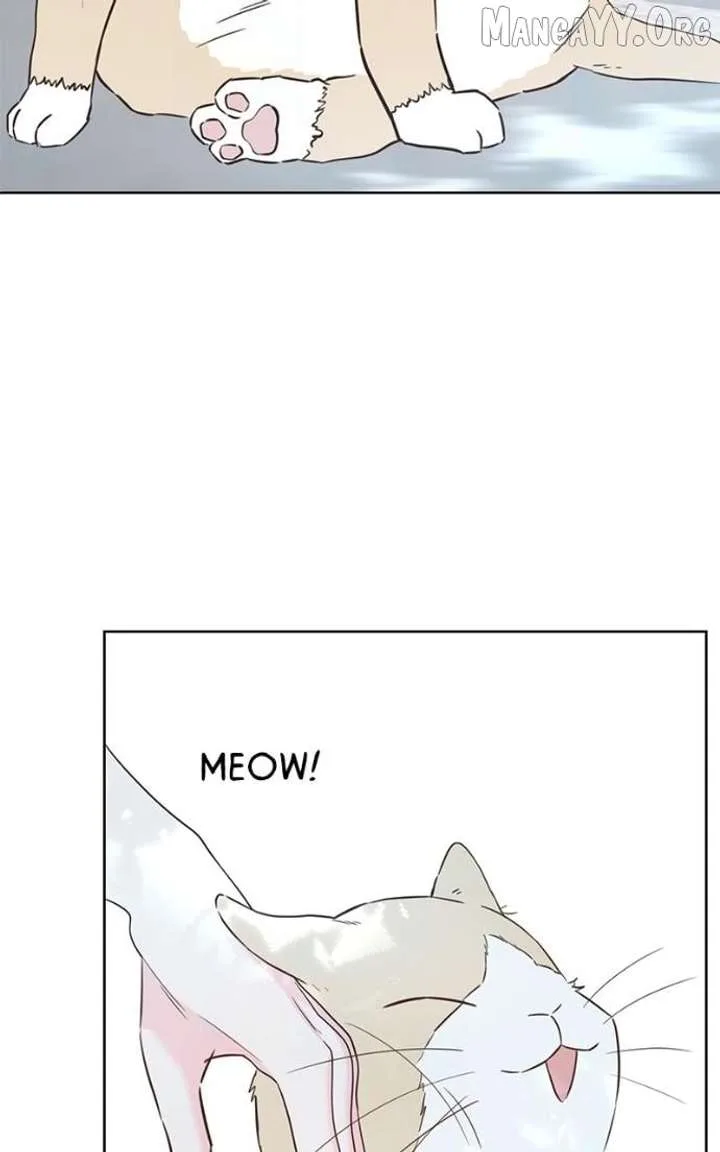 My Fake Love Chapter 35 page 13