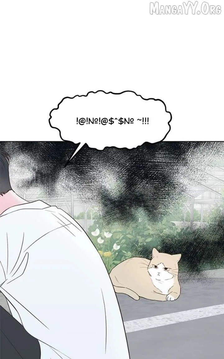 My Fake Love Chapter 35 page 42