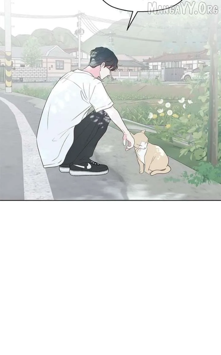 My Fake Love Chapter 35 page 15