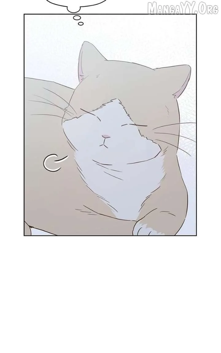 My Fake Love Chapter 37 page 71