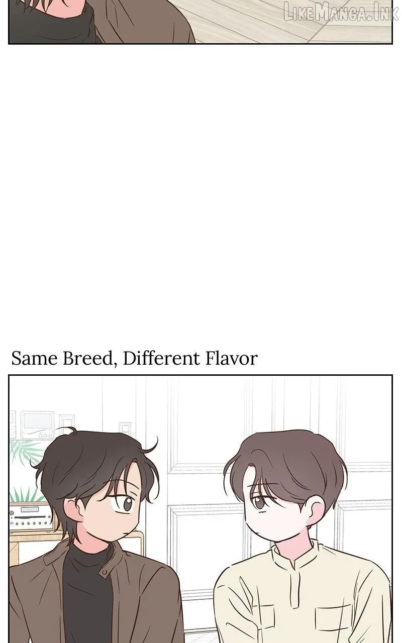 My Fake Love Chapter 68 page 91