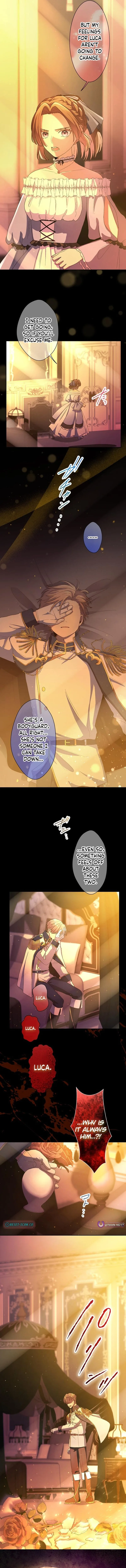 My Favorite Idol Is Protected by His Strongest Fiancée Chapter 11 page 5