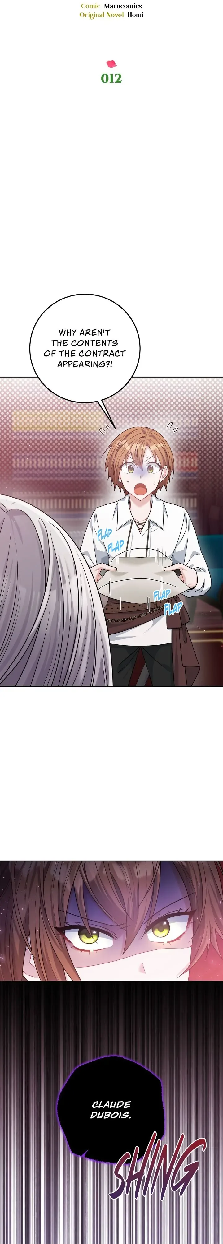 My Favorite Novel Has a Weird Epilogue Chapter 12 page 27