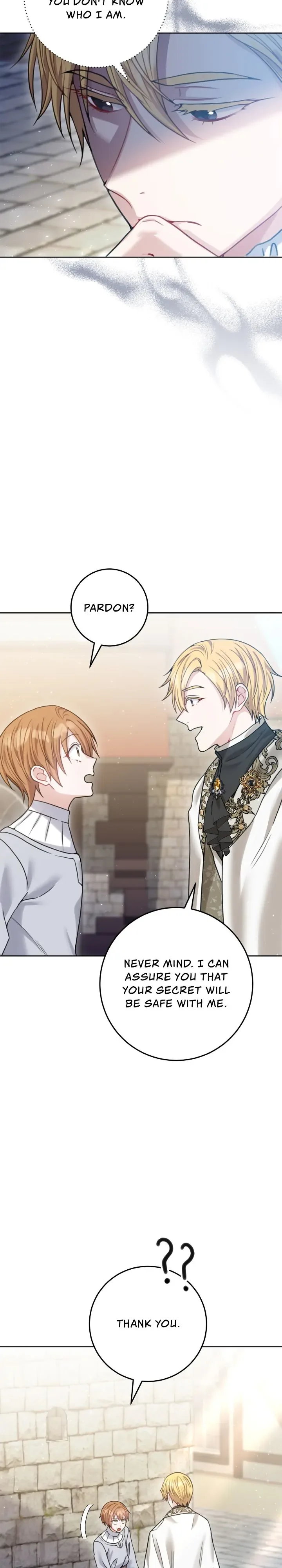 My Favorite Novel Has a Weird Epilogue Chapter 25 page 24