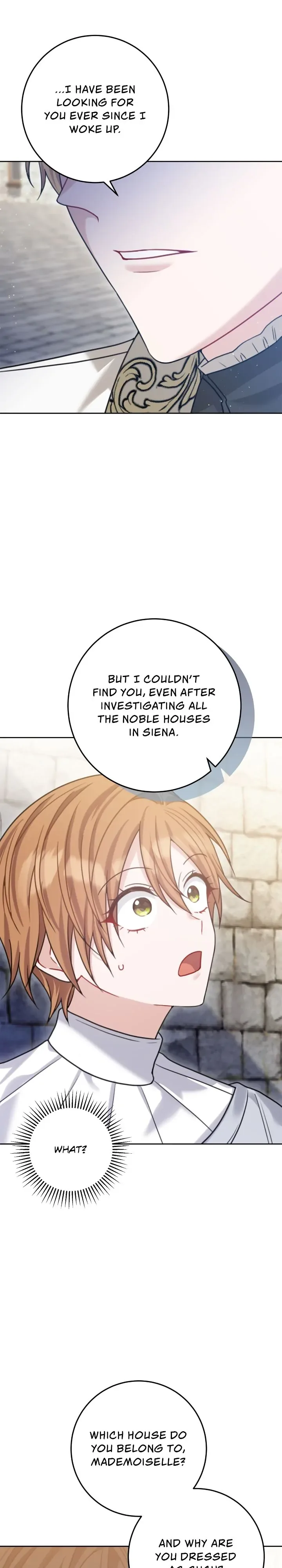 My Favorite Novel Has a Weird Epilogue Chapter 25 page 19