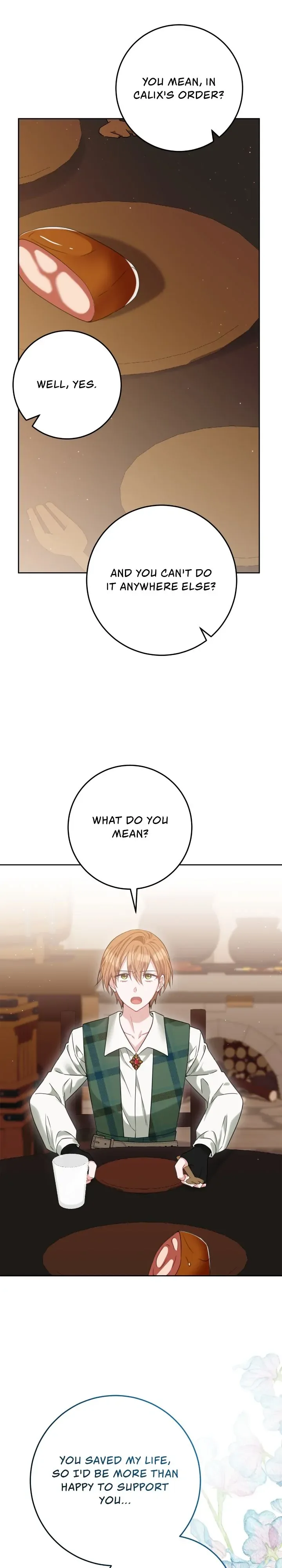 My Favorite Novel Has a Weird Epilogue Chapter 29 page 22