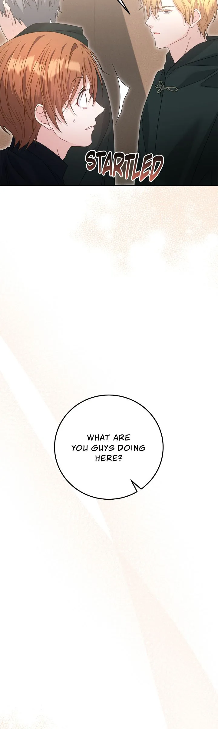 My Favorite Novel Has a Weird Epilogue Chapter 50 page 29
