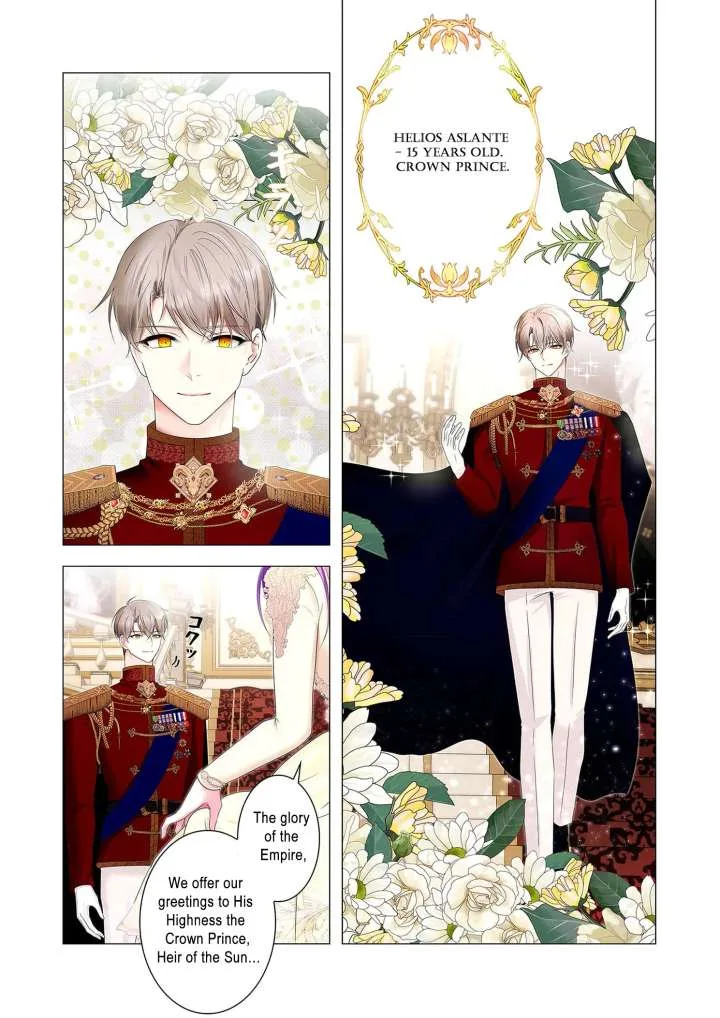 My Happy Ending Plan as a Side Character – I Refuse the Villainess’s Bad Ending! Chapter 9 page 17