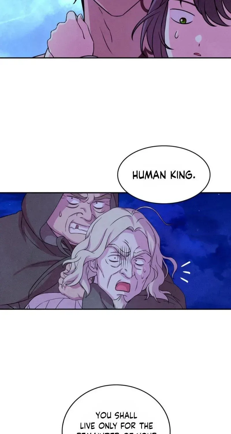 My Master Doesn’t Bite People Chapter 45 page 46