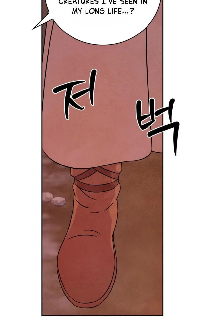 My Master Doesn’t Bite People Chapter 48 page 48
