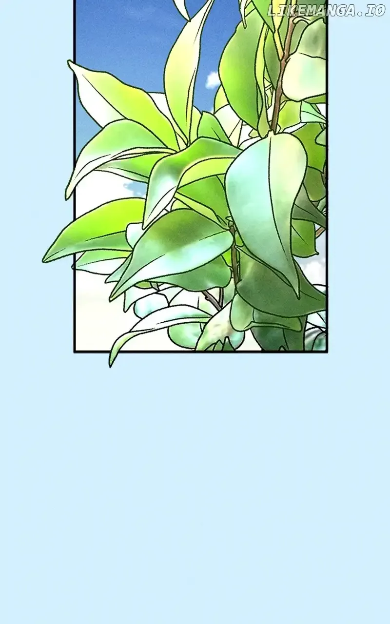 My Sister’s Private Life Chapter 31 page 62