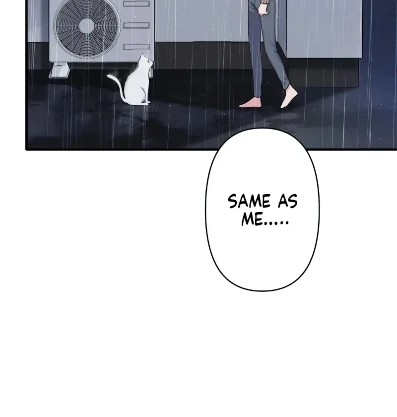 My Three Husbands Who Love Me Chapter 1 page 86