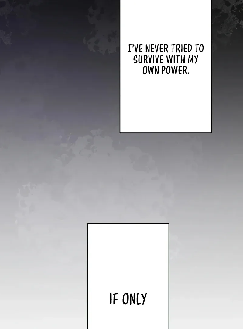 My Three Husbands Who Love Me Chapter 1 page 101
