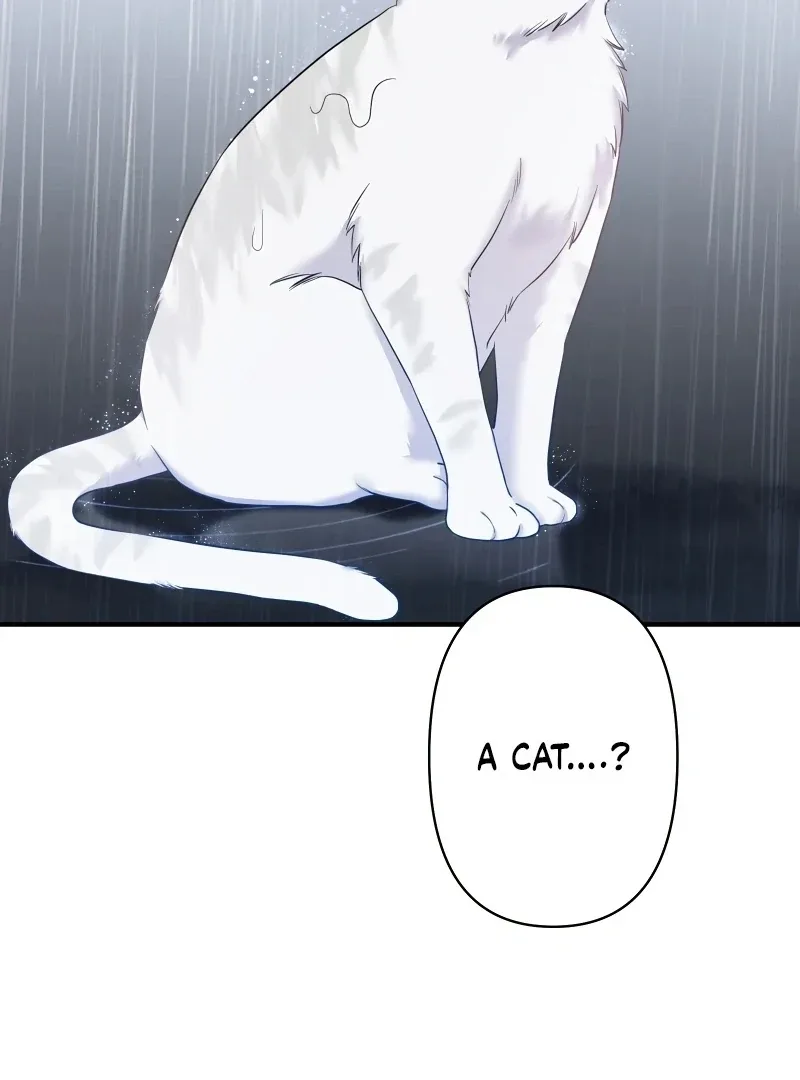 My Three Husbands Who Love Me Chapter 1 page 84