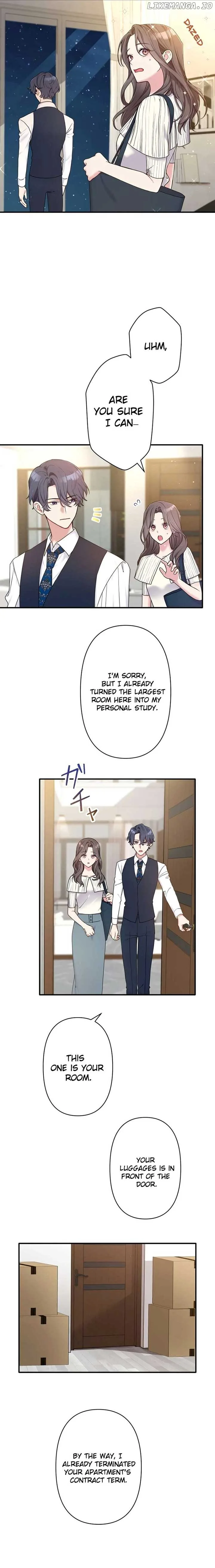 My Three Husbands Who Love Me Chapter 6 page 6
