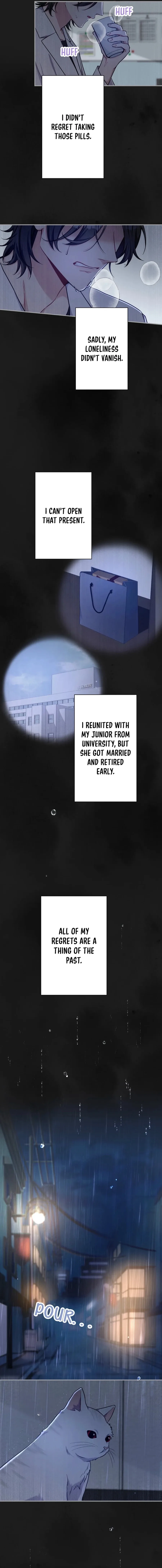 My Three Husbands Who Love Me Chapter 42 page 11
